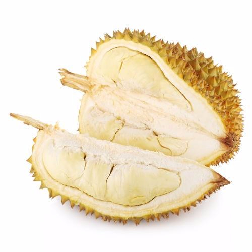 九游网页客户端产品名称二